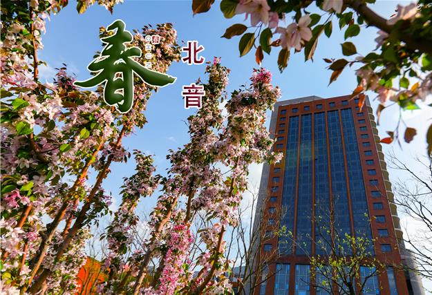 北插逼颜射音春色